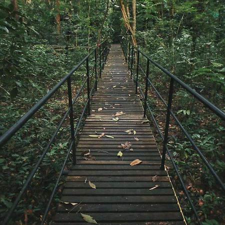 カオソック ツリーハウス リゾート Khao Sok National Park エクステリア 写真