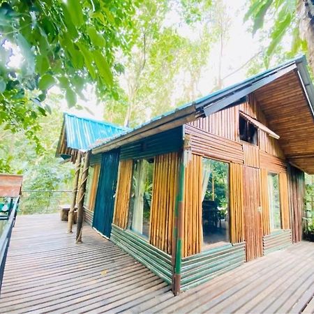 カオソック ツリーハウス リゾート Khao Sok National Park エクステリア 写真