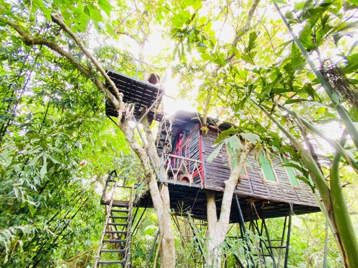 カオソック ツリーハウス リゾート Khao Sok National Park エクステリア 写真