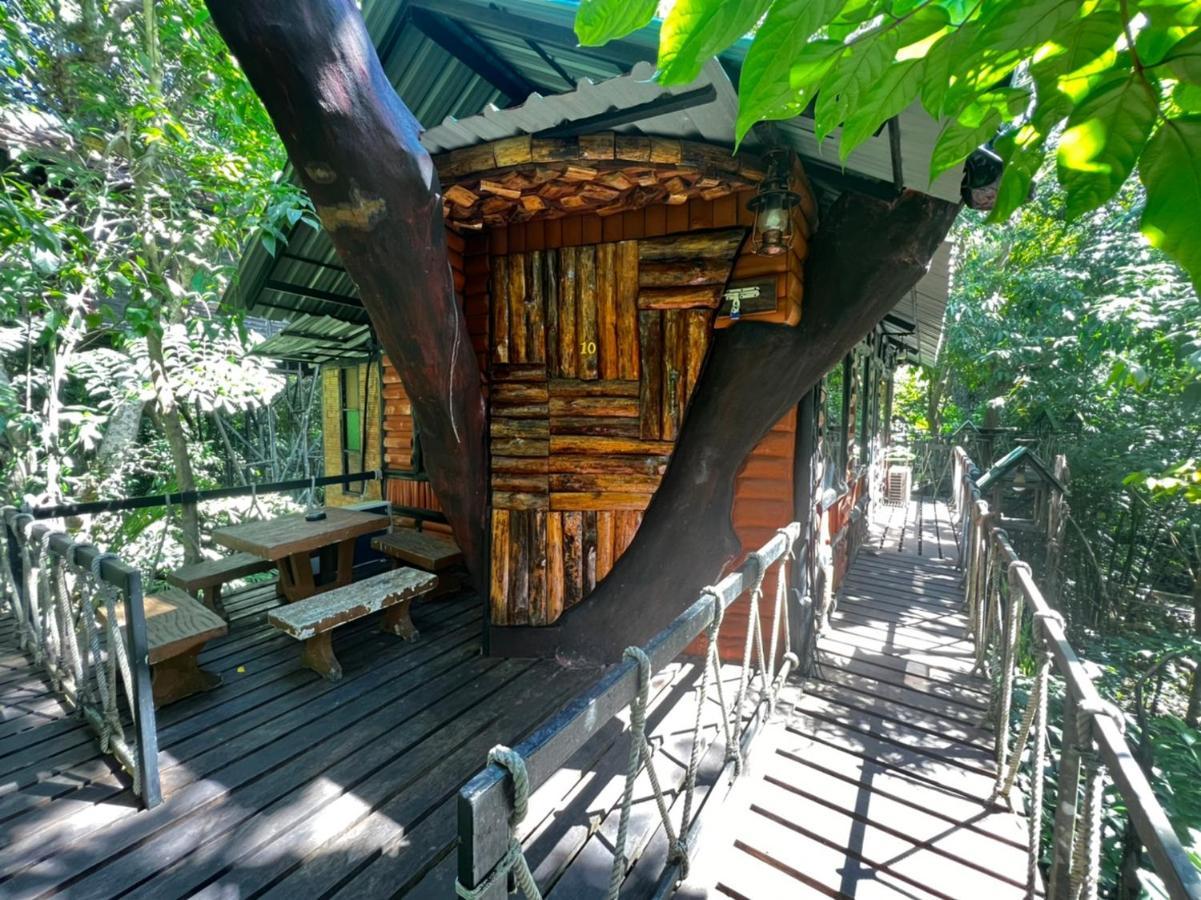 カオソック ツリーハウス リゾート Khao Sok National Park エクステリア 写真