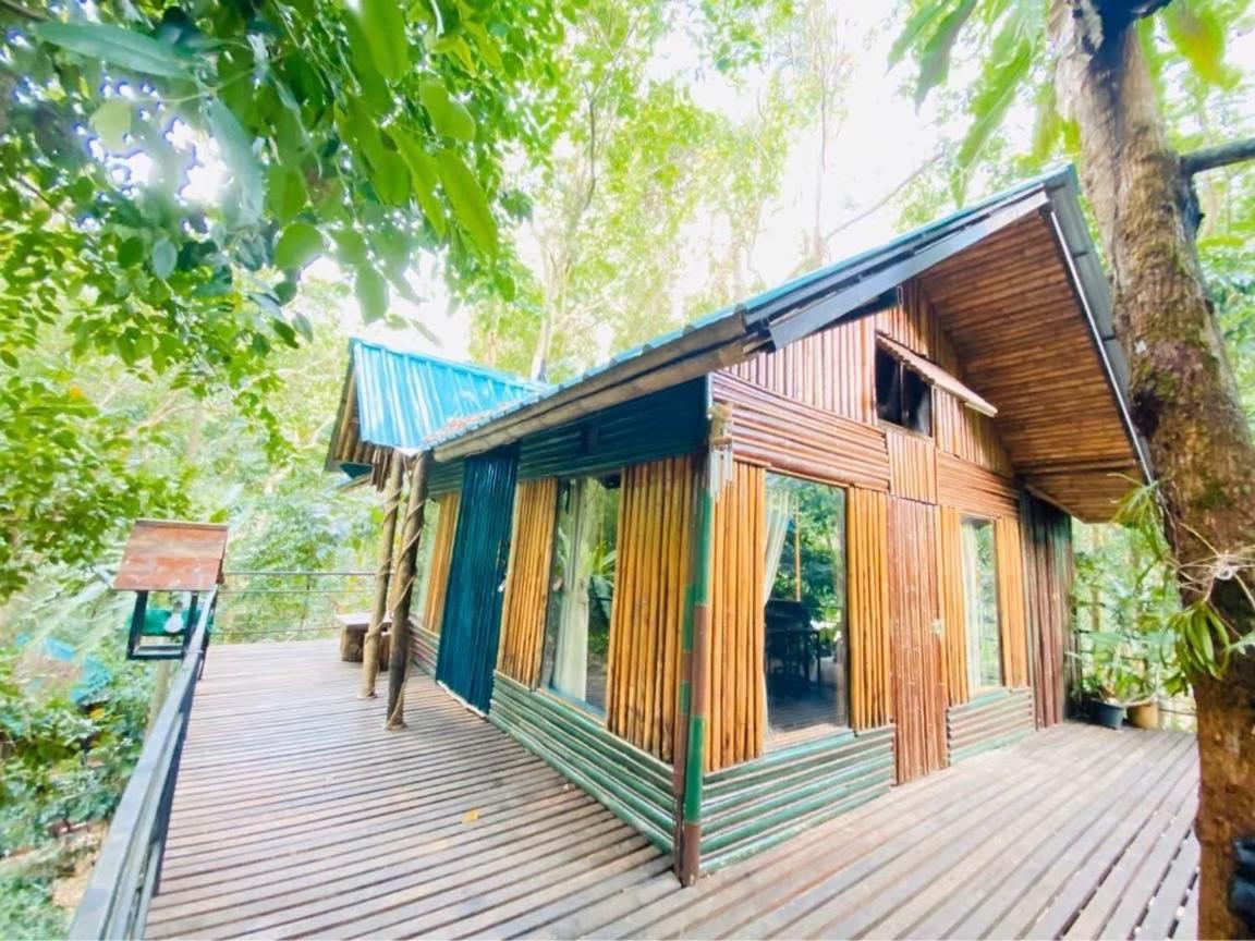 カオソック ツリーハウス リゾート Khao Sok National Park エクステリア 写真