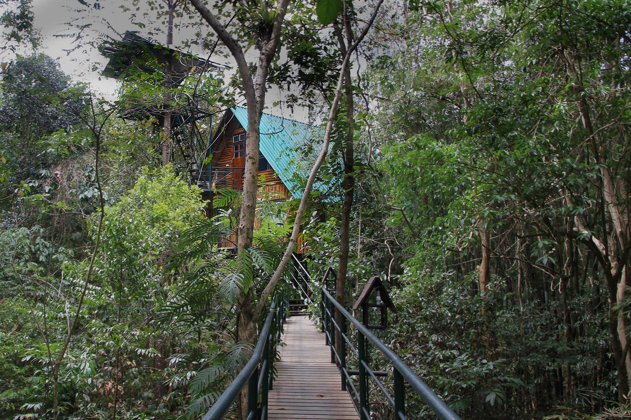 カオソック ツリーハウス リゾート Khao Sok National Park エクステリア 写真