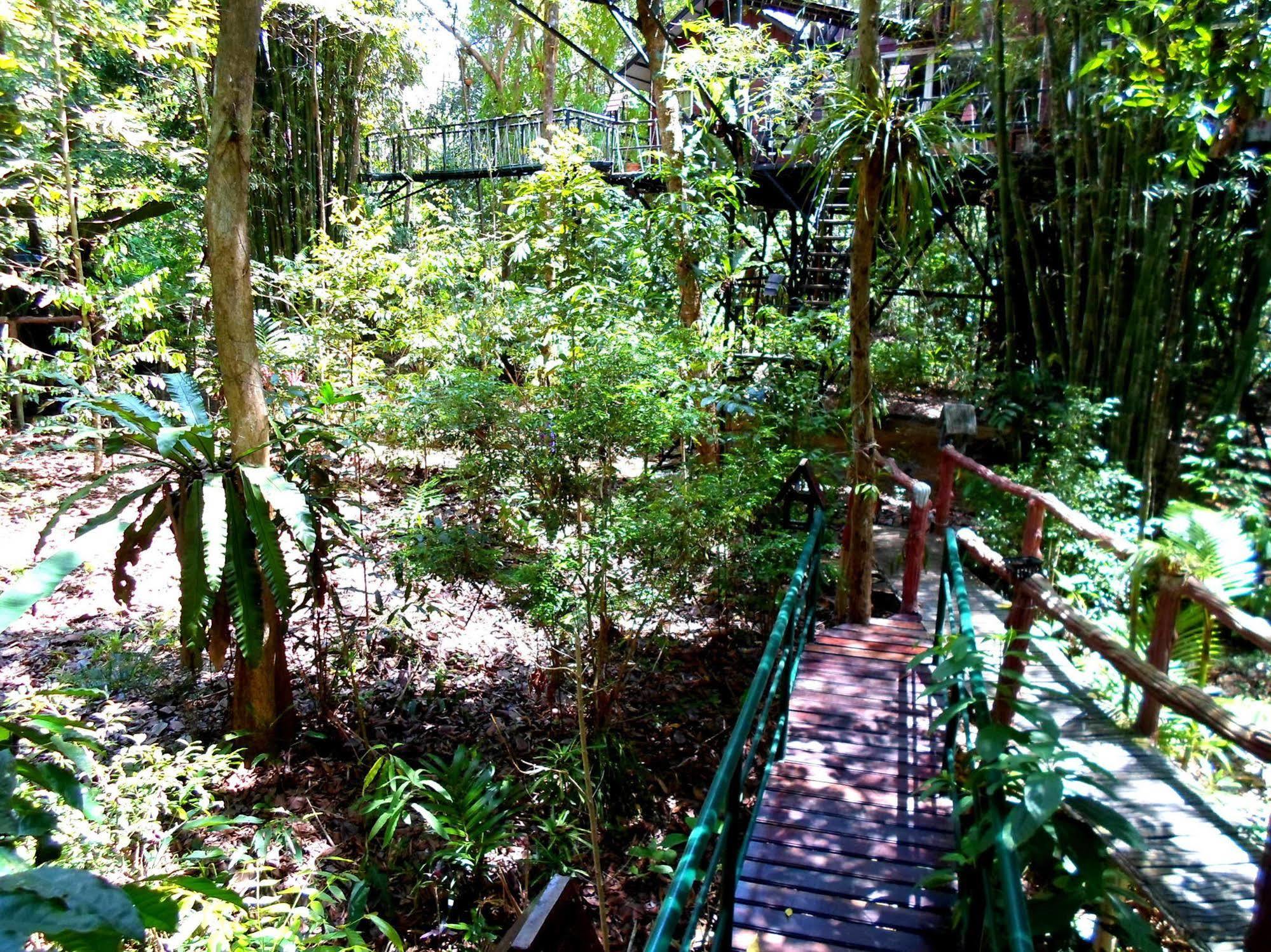 カオソック ツリーハウス リゾート Khao Sok National Park エクステリア 写真