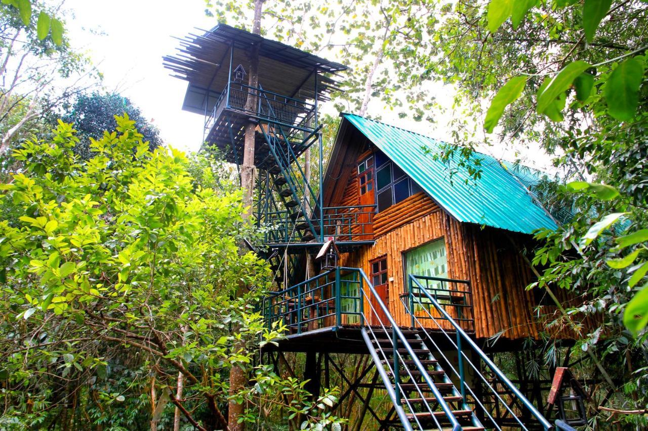 カオソック ツリーハウス リゾート Khao Sok National Park エクステリア 写真