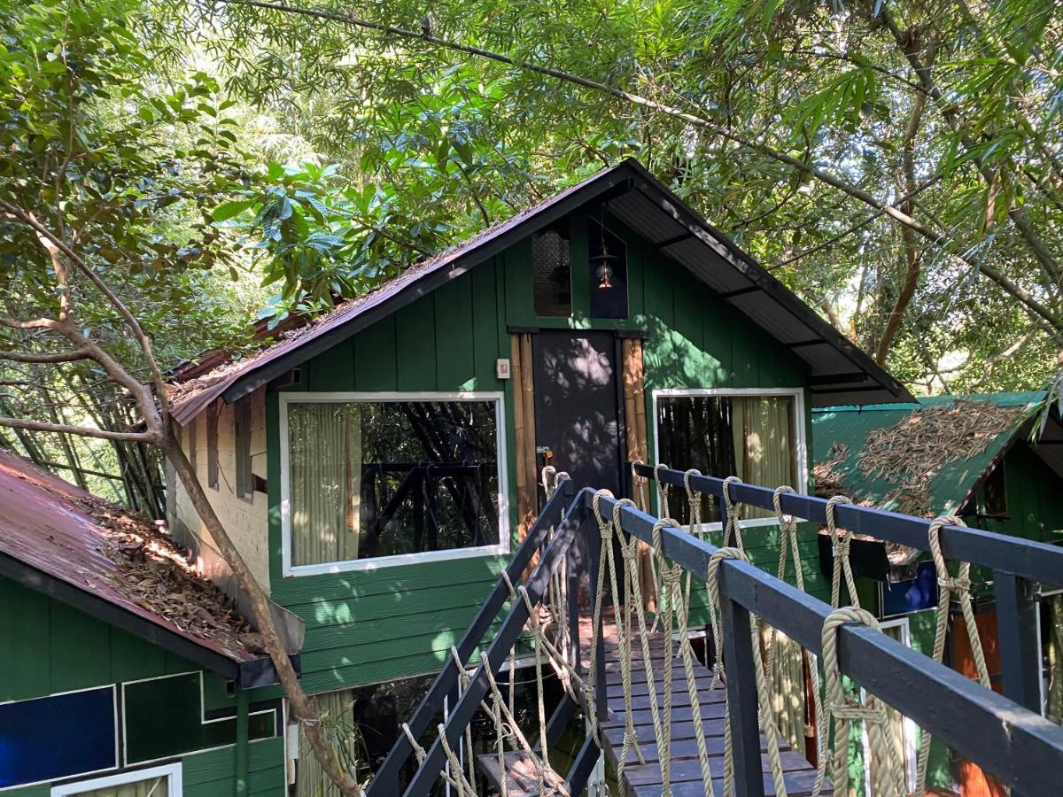 カオソック ツリーハウス リゾート Khao Sok National Park エクステリア 写真