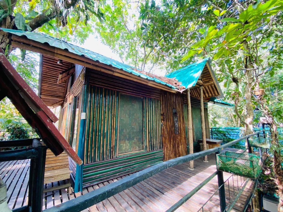 カオソック ツリーハウス リゾート Khao Sok National Park エクステリア 写真